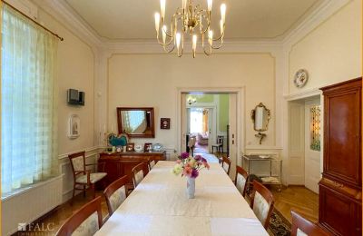 Historic Villa for sale 04736 Waldheim, Saxony:  Esszimmer