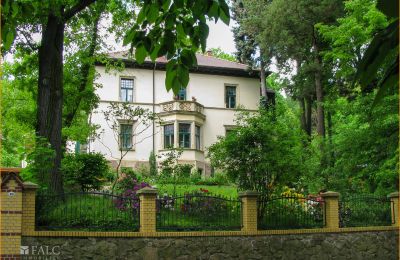 Historic Villa for sale 04736 Waldheim, Saxony:  Aussenansicht