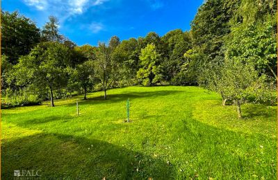 Historic Villa for sale 04736 Waldheim, Saxony, Garten