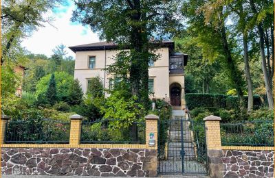 Historic Villa for sale 04736 Waldheim, Saxony, Aussenansicht