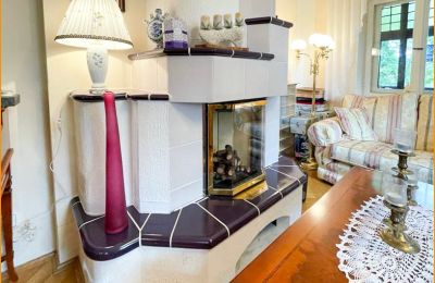 Historic Villa for sale 04736 Waldheim, Saxony, Kamin