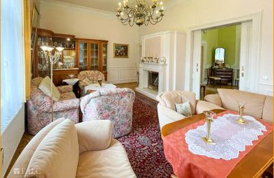 Historic Villa for sale 04736 Waldheim, Saxony, Wohnzimmer