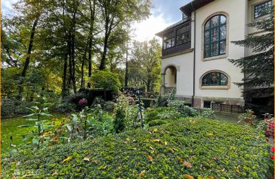 Historic Villa for sale 04736 Waldheim, Saxony:  Aussenansicht