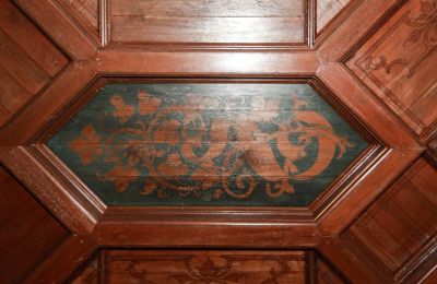 Castle for sale Stołeczna, Pałac w Stołecznej 20, West Pomerania, Ceiling