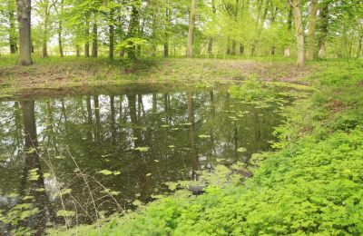 Castle for sale Stołeczna, Pałac w Stołecznej 20, West Pomerania, Lake