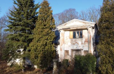 Manor House for sale Smaszew, Dwór w Smaszewie, Greater Poland Voivodeship:  Front view