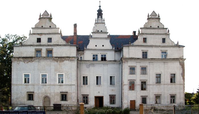 Castle for sale Wilków Wielki, Lower Silesia,  Poland