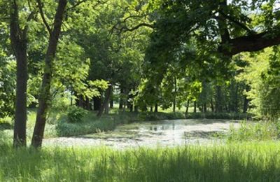 Herregård til salg Gierłachowo, Dwór w Gierłachowie 18a, województwo wielkopolskie, Billede 33/34