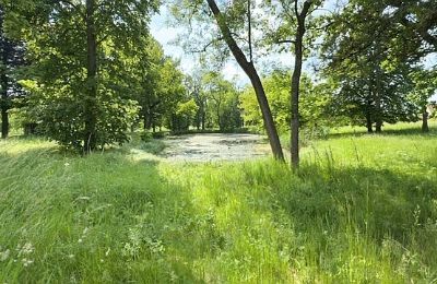 Herregård til salg Gierłachowo, Dwór w Gierłachowie 18a, województwo wielkopolskie, Billede 34/34