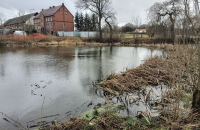 Castle for sale Bronów, Pałac w Bronowie, Lower Silesia, Lake