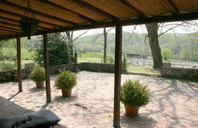 Country House for sale Arezzo, Tuscany:  RIF2262-lang13#RIF 2262 Vorplatz