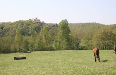 Country House for sale Arezzo, Tuscany:  RIF2262-lang22#RIF 2262 Pferdekoppeln mit Ausblick