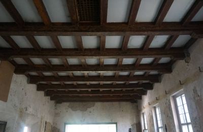Historic Villa for sale Kętrzyn, Warmia-Masuria, Ceiling