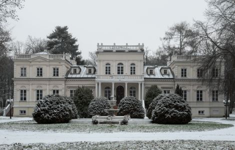 Wola-Chojnata, Wola Chojnata - Palace in Wola Chojnata