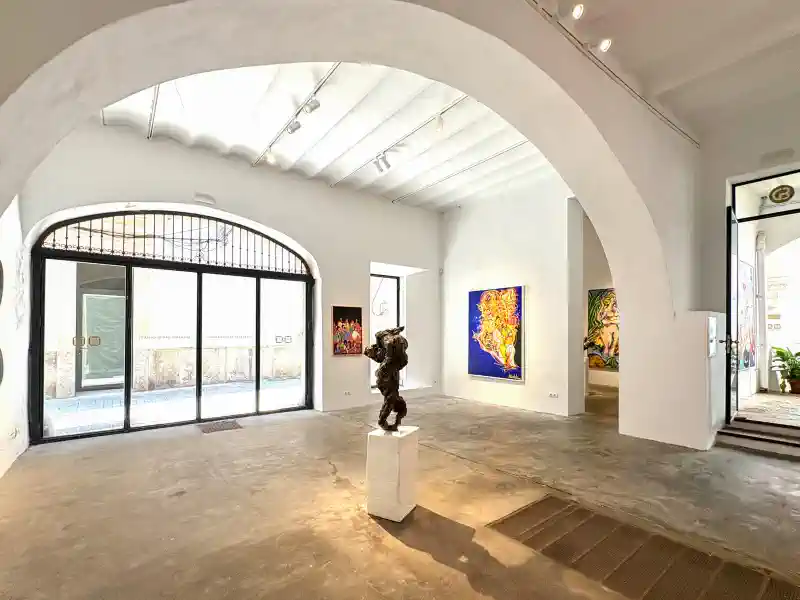 Exhibition highlights at Gerhardt Braun Gallery 2025, Palma