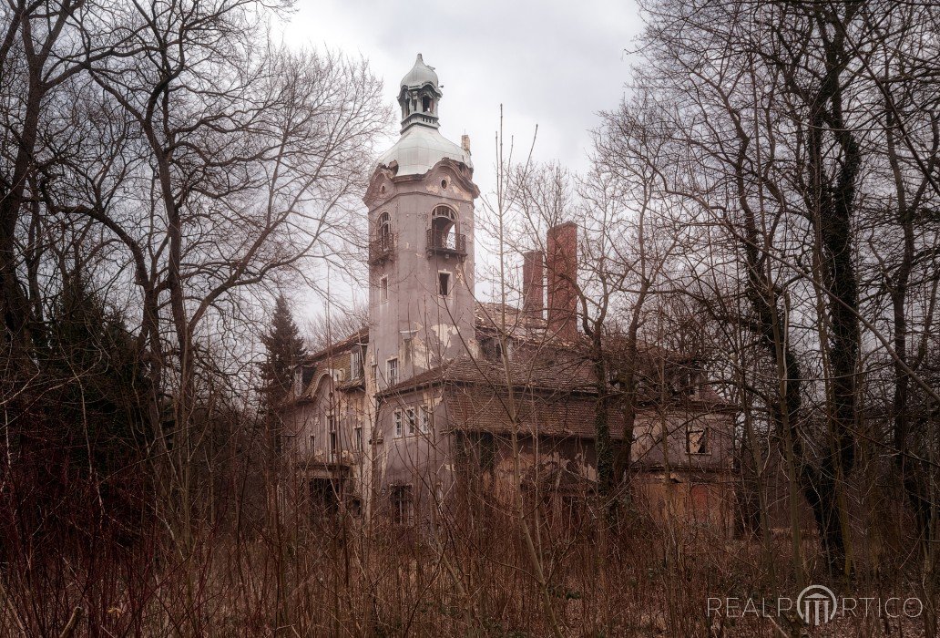 Fabricant's Villa Naether in Zeitz, Zeitz