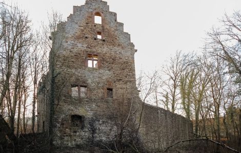 Lehrbach, Burg Lehrbach - Lehrbach castle ruin