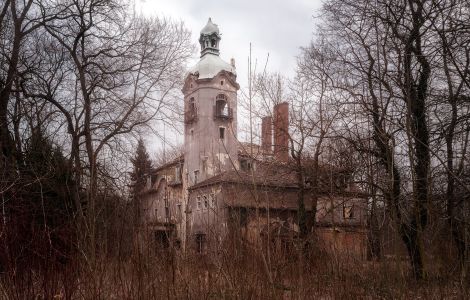 Zeitz, Villa Steineck - Fabricant's Villa Naether in Zeitz