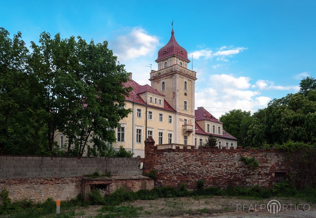 Palace in  Dąbrówka Górna, Dąbrówka Górna