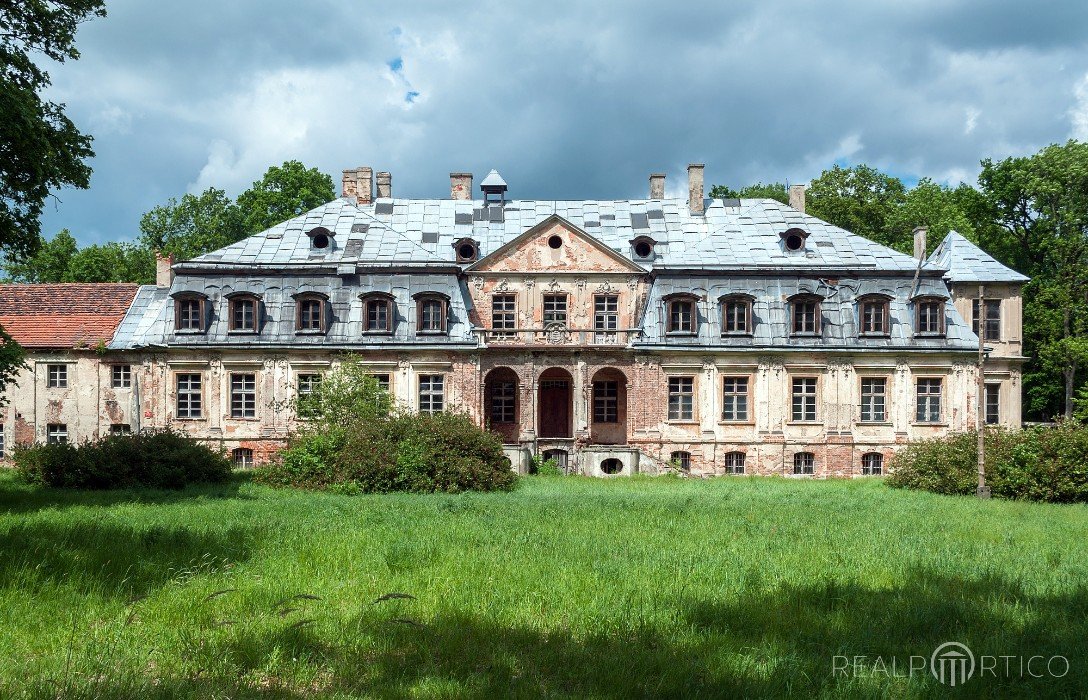 Manor in Minkowskie, Minkowskie