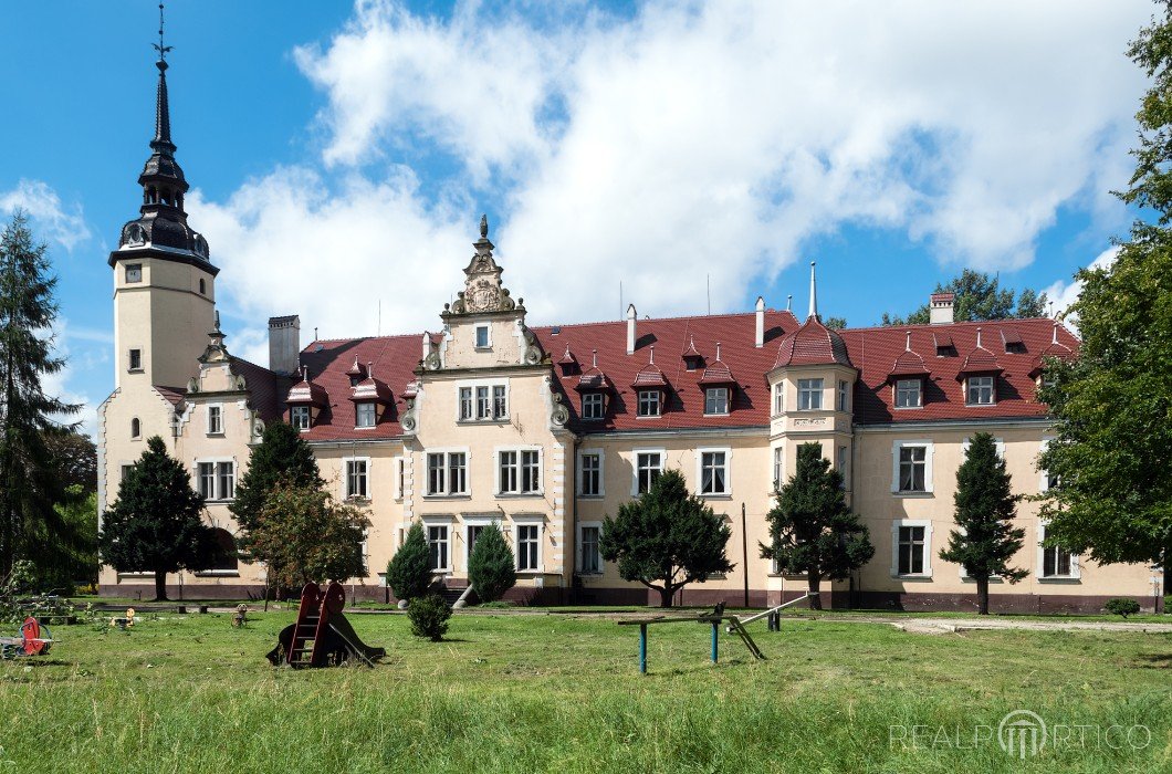 Palace in Borzęciczki, Borzęciczki