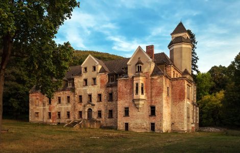  - Upper Palace in Wojcieszów