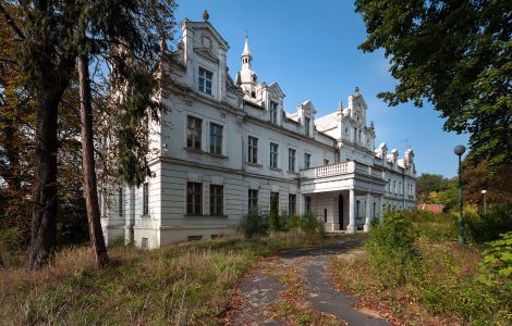  - Palace in Biechów