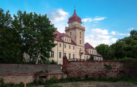  - Palace in  Dąbrówka Górna