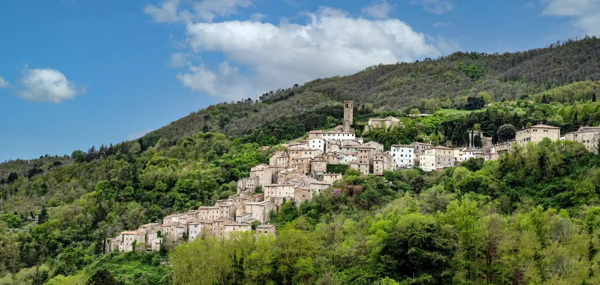 Buy a castle - Castles Italy May 2026