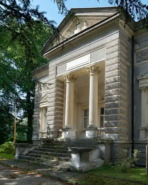 Neoclassical properties