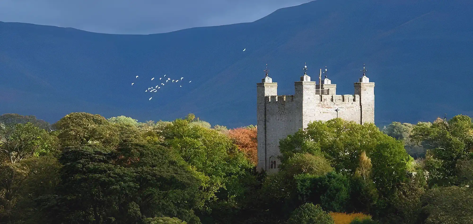 Appleby castle for sale September 2025