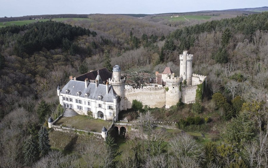 Buy castle property in France