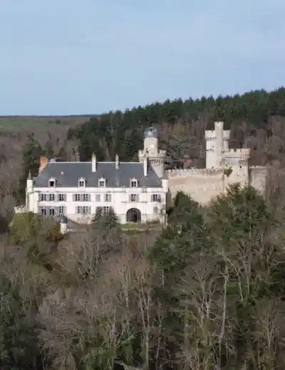 Medieval Castle Property search 2025