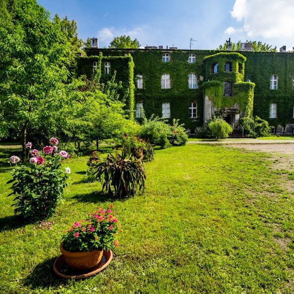 Old house in the green