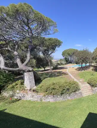 Estate with olive grove and mountain and valley views near Castiglione del Lago
