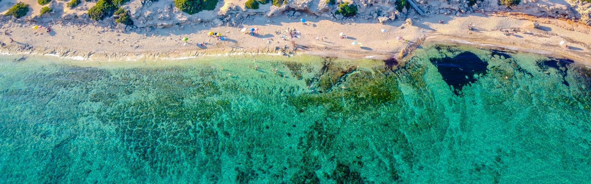 Oikos Immobiliare SRL REALPORTICO